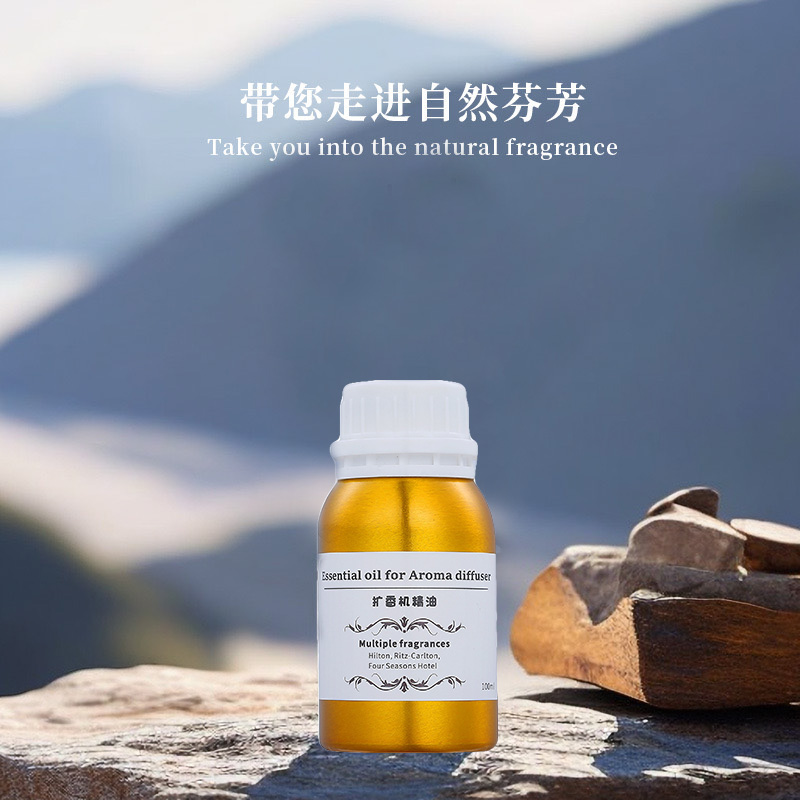 100ml Diffuser Essential Oils  - đánh giá và giá Home Fragrance Perfume