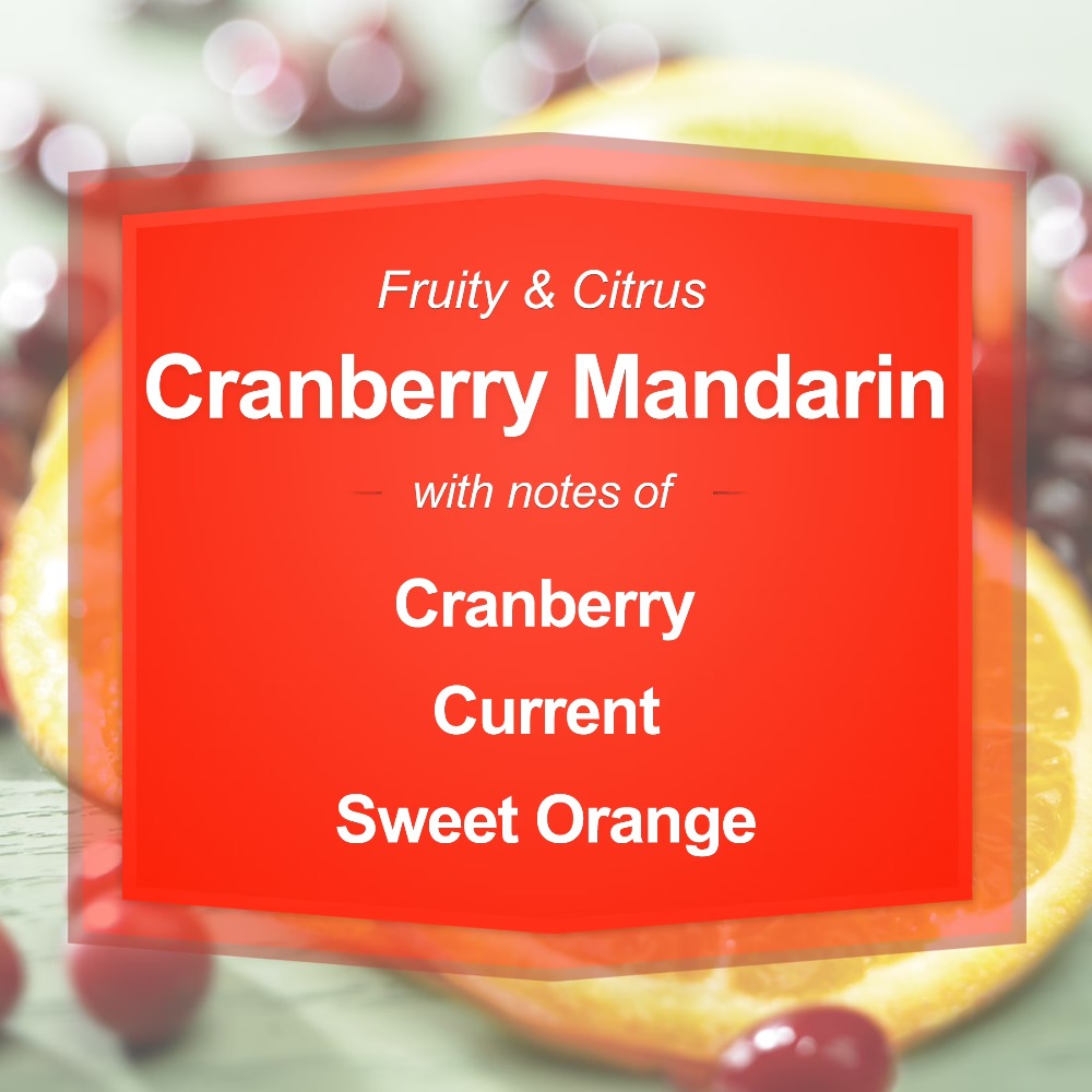 Cranberry Mandarin Scented Can - đánh giá và giá Home Fragrance Large