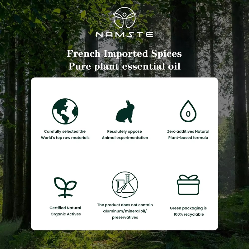 NAMSTE 100ML Oil Diffuser Esse - đánh giá và giá Home Fragrance Device