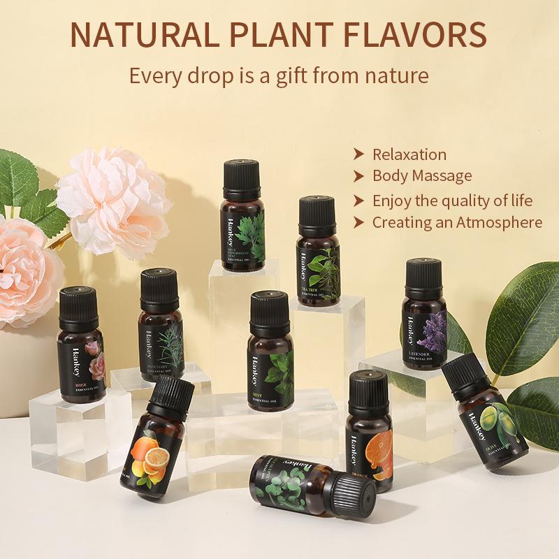 10ml Natural Plant Essential O - đánh giá và giá Home Fragrance Aroma Set