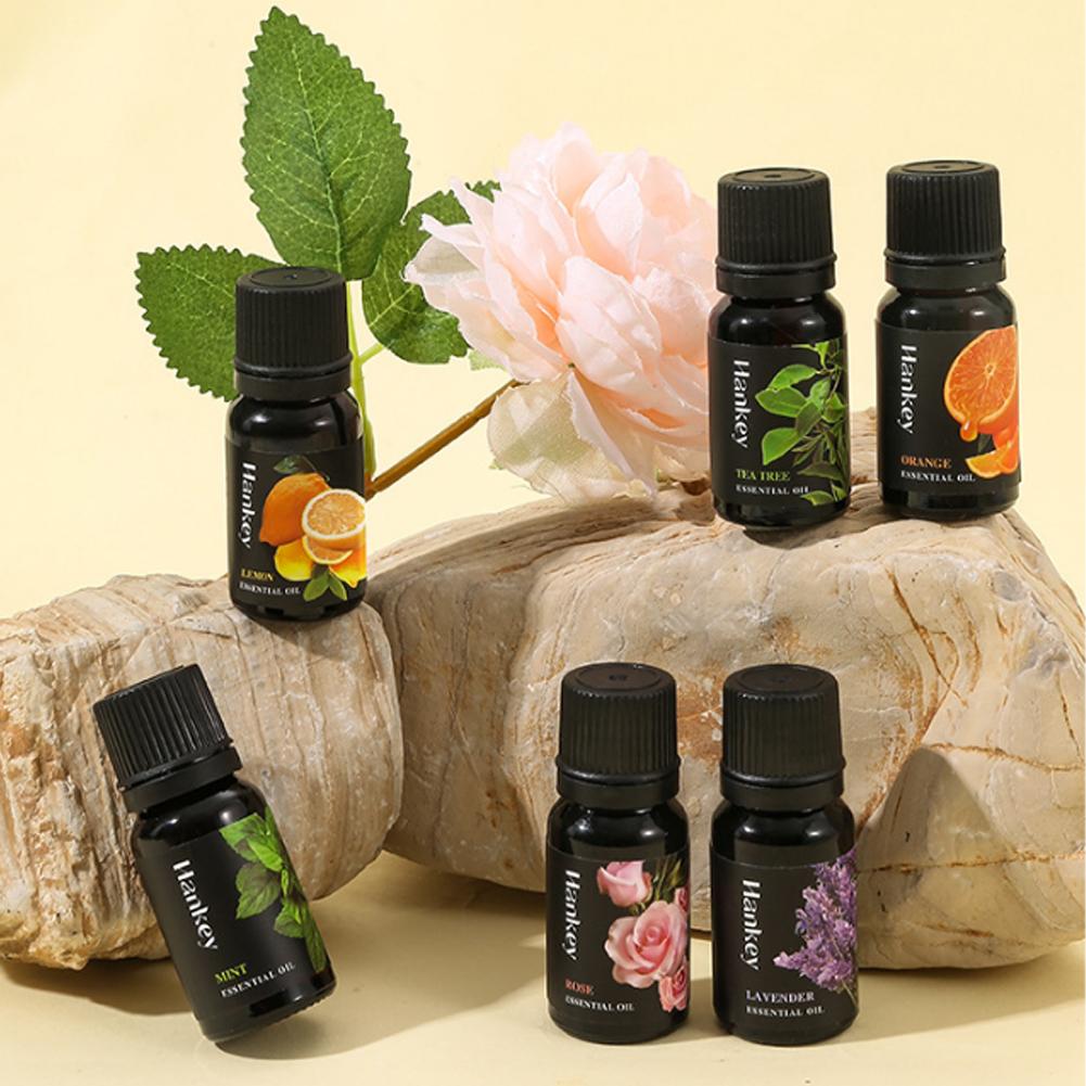 10ml Natural Plant Essential O - đánh giá và giá Home Fragrance Aroma Set
